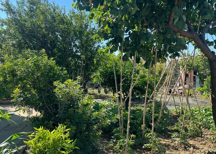 Lena's * Qerret (Tirana)